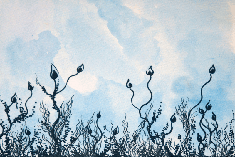 Painting 28 — abstract painting by Diana Bordean