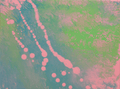 Painting 39 — abstract painting by Diana Bordean